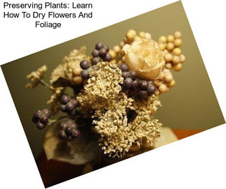 Preserving Plants: Learn How To Dry Flowers And Foliage