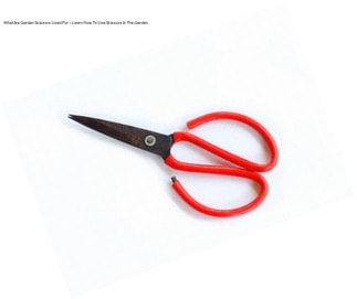 What Are Garden Scissors Used For – Learn How To Use Scissors In The Garden