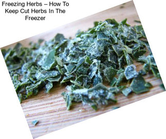 Freezing Herbs – How To Keep Cut Herbs In The Freezer