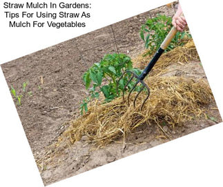 Straw Mulch In Gardens: Tips For Using Straw As Mulch For Vegetables