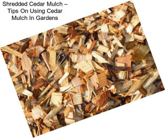 Shredded Cedar Mulch – Tips On Using Cedar Mulch In Gardens