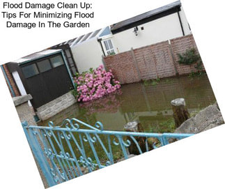 Flood Damage Clean Up: Tips For Minimizing Flood Damage In The Garden