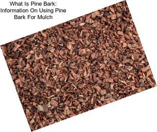 What Is Pine Bark: Information On Using Pine Bark For Mulch