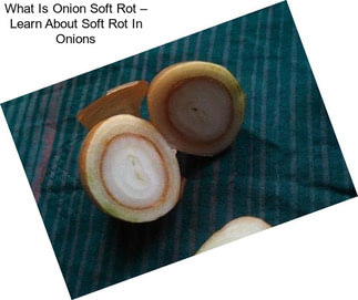 What Is Onion Soft Rot – Learn About Soft Rot In Onions