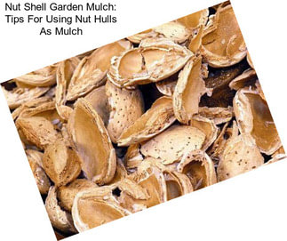 Nut Shell Garden Mulch: Tips For Using Nut Hulls As Mulch