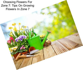 Choosing Flowers For Zone 7: Tips On Growing Flowers In Zone 7
