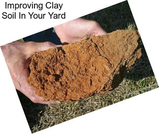 Improving Clay Soil In Your Yard