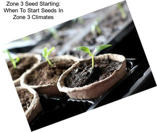 Zone 3 Seed Starting: When To Start Seeds In Zone 3 Climates