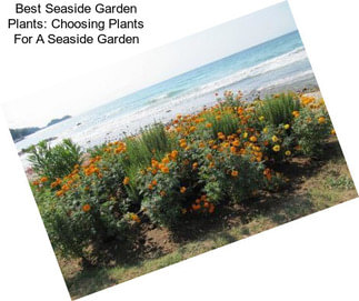 Best Seaside Garden Plants: Choosing Plants For A Seaside Garden