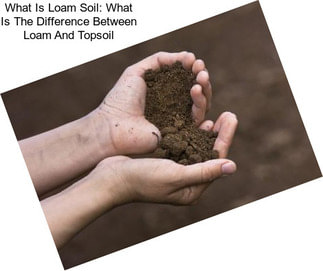 What Is Loam Soil: What Is The Difference Between Loam And Topsoil