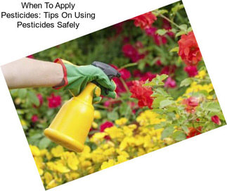 When To Apply Pesticides: Tips On Using Pesticides Safely