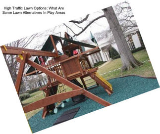 High Traffic Lawn Options: What Are Some Lawn Alternatives In Play Areas