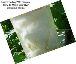 Foliar Feeding With Calcium: How To Make Your Own Calcium Fertilizer