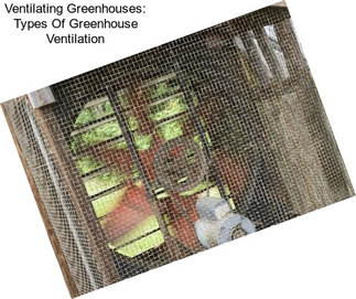 Ventilating Greenhouses: Types Of Greenhouse Ventilation