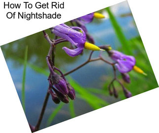 How To Get Rid Of Nightshade