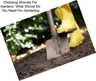 Choosing Shovels For Gardens: What Shovel Do You Need For Gardening