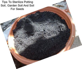 Tips To Sterilize Potting Soil, Garden Soil And Soil For Seeds