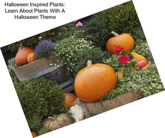 Halloween Inspired Plants: Learn About Plants With A Halloween Theme