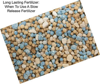 Long Lasting Fertilizer: When To Use A Slow Release Fertilizer