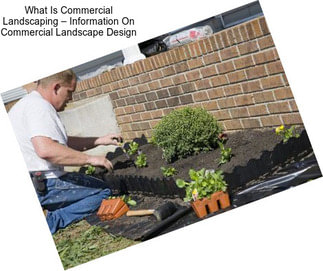 What Is Commercial Landscaping – Information On Commercial Landscape Design