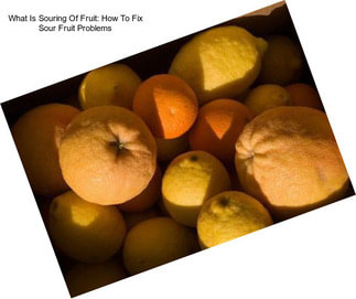 What Is Souring Of Fruit: How To Fix Sour Fruit Problems