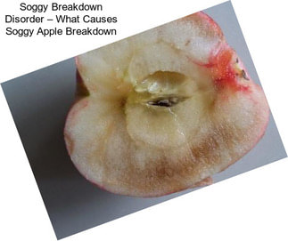 Soggy Breakdown Disorder – What Causes Soggy Apple Breakdown