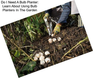 Do I Need A Bulb Planter: Learn About Using Bulb Planters In The Garden