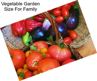 Vegetable Garden Size For Family