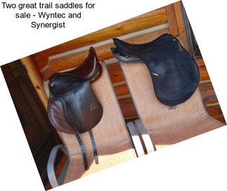 Two great trail saddles for sale - Wyntec and Synergist