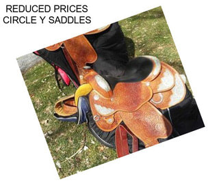 REDUCED PRICES CIRCLE Y SADDLES