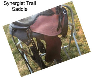 Synergist Trail Saddle