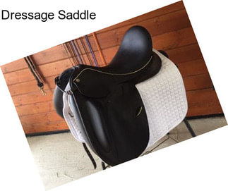 Dressage Saddle