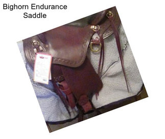 Bighorn Endurance Saddle