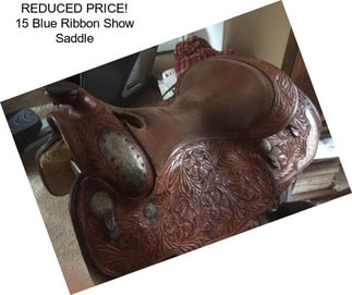 REDUCED PRICE! 15 Blue Ribbon Show Saddle