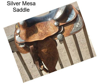 Silver Mesa Saddle