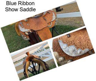 Blue Ribbon Show Saddle