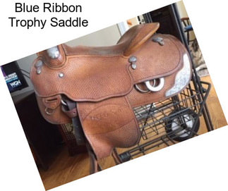 Blue Ribbon Trophy Saddle