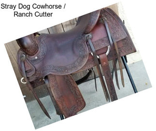 Stray Dog Cowhorse / Ranch Cutter