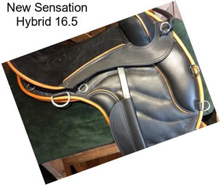 New Sensation Hybrid 16.5