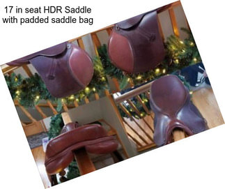 17 in seat HDR Saddle with padded saddle bag