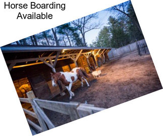 Horse Boarding Available