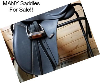 MANY Saddles For Sale!!