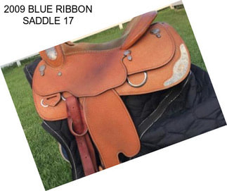 2009 BLUE RIBBON SADDLE 17