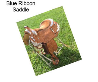 Blue Ribbon Saddle