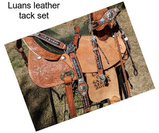 Luans leather tack set