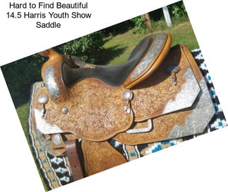 Hard to Find Beautiful 14.5 Harris Youth Show Saddle