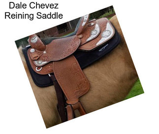Dale Chevez Reining Saddle