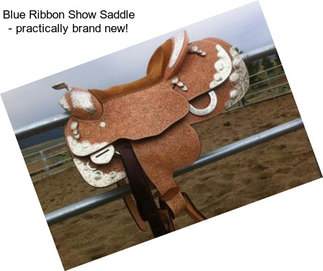 Blue Ribbon Show Saddle - practically brand new!