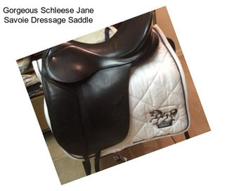 Gorgeous Schleese Jane Savoie Dressage Saddle