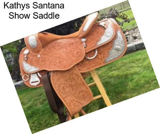 Kathys Santana Show Saddle